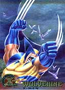 #13 Wolverine